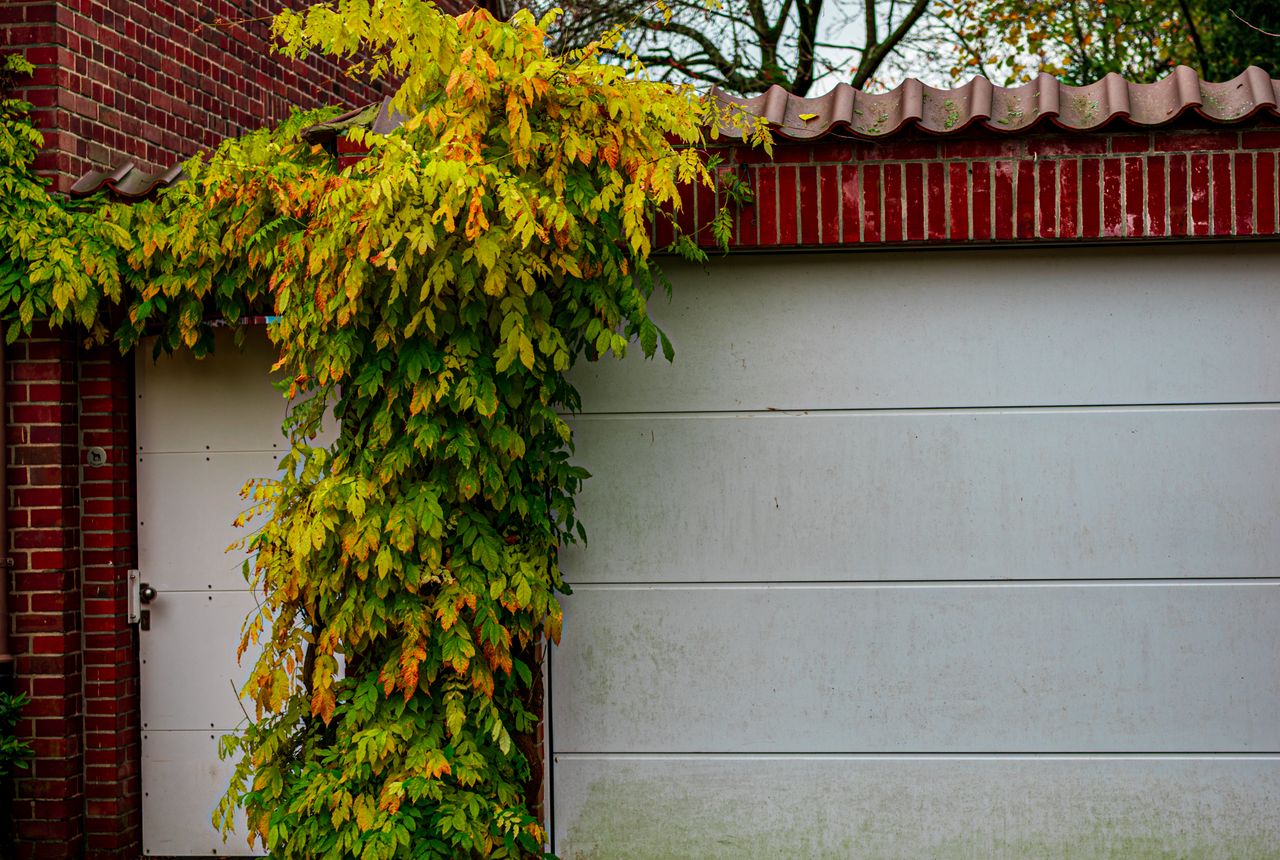 Garage door service in Downers Grove, IL